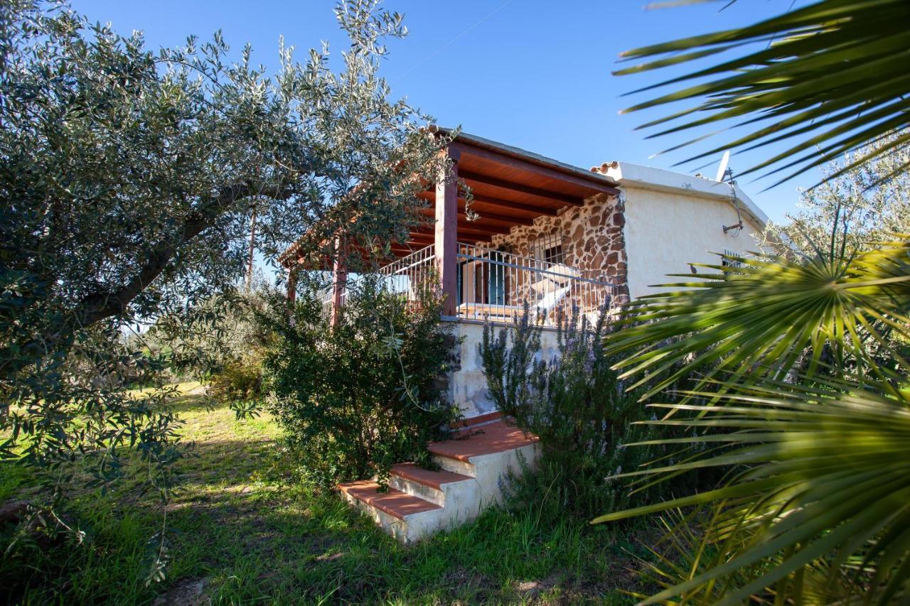 Casa Osala Villa Orosei Eksteriør billede